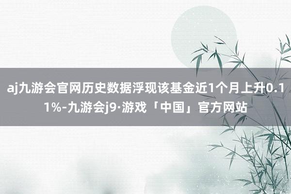 aj九游会官网历史数据浮现该基金近1个月上升0.11%-九游会j9·游戏「中国」官方网站