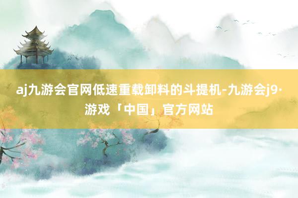 aj九游会官网低速重载卸料的斗提机-九游会j9·游戏「中国」官方网站