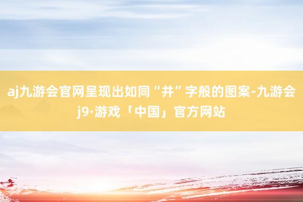 aj九游会官网呈现出如同“井”字般的图案-九游会j9·游戏「中国」官方网站